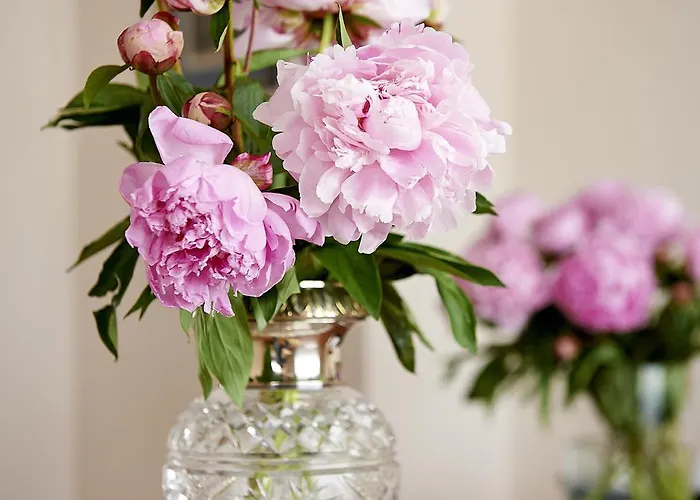 Admiral Am Kurpark Hotel Baden